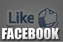 2012_icon_facebook