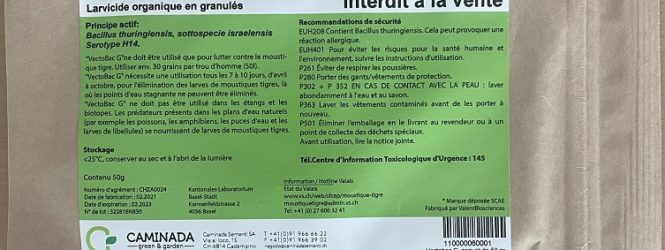 Monthey : la lutte contre le moustique tigre s’intensifie