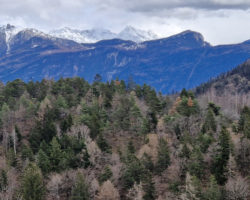 « S’il y a de l’herbe en montagne, c’est ce que quelqu’un s’en occupe »