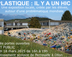 Les élèves d’Ollon transforment le plastique en message écologique et artistique