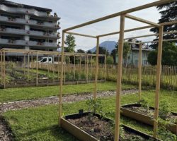 Inauguration ce week-end à Monthey : le projet « Au Jardin » arrive à maturité