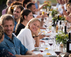 Tavolata des vins : des banquets géants au cœur des vignes valaisannes