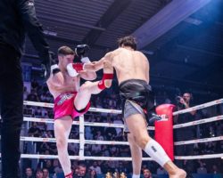 Kickboxing : carton plein pour les chablaisiens au Mémorial Jorge Martins