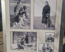 Avec « Quels chiens » la Médiathèque Valais reconnaît le travail de la photographe Renée Chappaz-Peiry