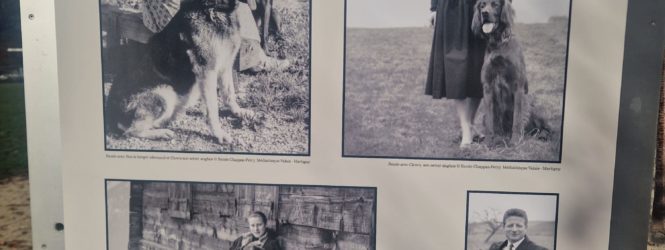 Avec « Quels chiens » la Médiathèque Valais reconnaît le travail de la photographe Renée Chappaz-Peiry