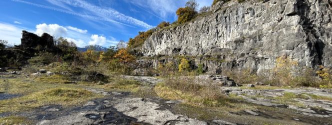 Saint-Triphon : Des mesures fortes pour préserver les prairies sèches