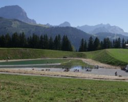 Moins de constructions, plus de nature : Gryon revoit à la baisse sa planification touristique