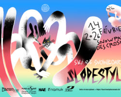 Tour Freestyle Romand :  les jeunes riders défient la gravité ce weekend aux Crosets